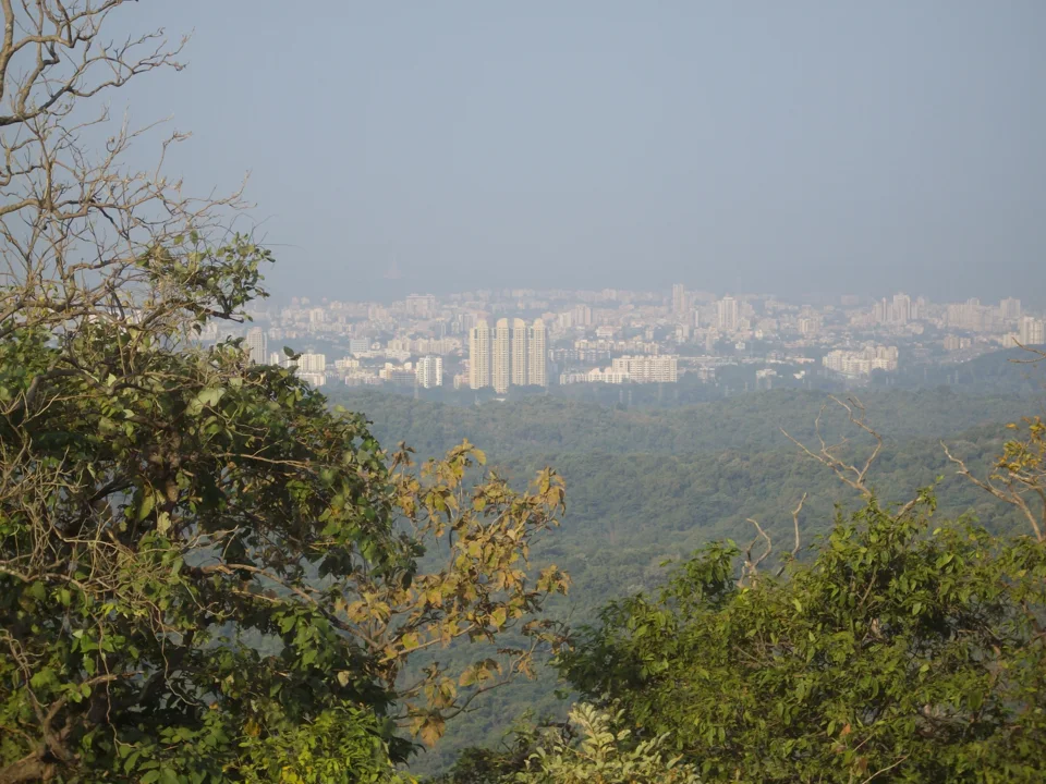 Borivali skyline viewed from Sanjay Gandhi National Park