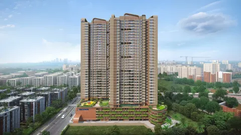 Mayfair Palmeira — project cover image