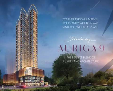 Auriga 9 — project cover image