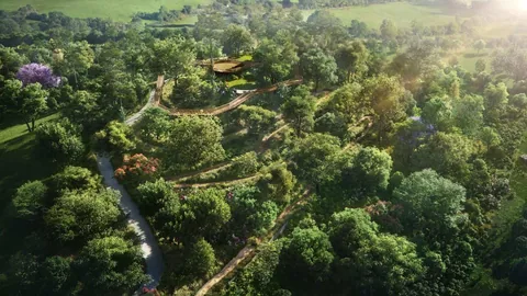 Elixir Reserve Prinia — Canopy walkway — shared Elixir Reserve concept; Prinia-specific delivery to confirm